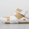 Nike Zoom LeBron II QS -Footpatrol Shop fp 628793 a