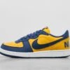 Nike Terminator Low -Footpatrol Shop fp 645745 a